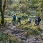 2024-10 - Népal - J05 - De Ghandruk à Tadapani - 181